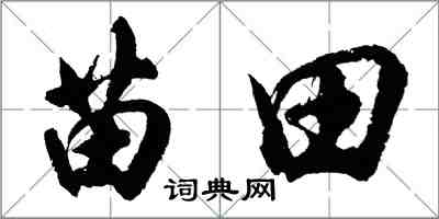 胡問遂苗田行書怎么寫