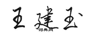 駱恆光王建玉行書個性簽名怎么寫