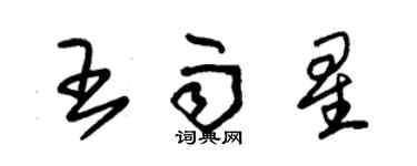 朱錫榮王雨星草書個性簽名怎么寫