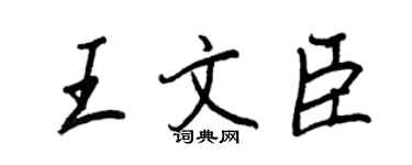 王正良王文臣行書個性簽名怎么寫