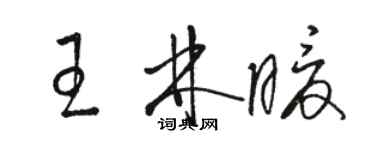 駱恆光王林暖草書個性簽名怎么寫