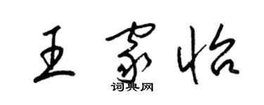 梁錦英王家怡草書個性簽名怎么寫