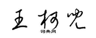 梁錦英王柯兒草書個性簽名怎么寫