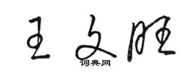 駱恆光王文旺草書個性簽名怎么寫