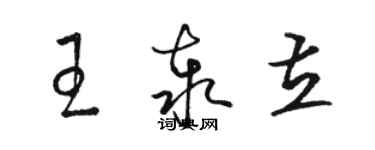 駱恆光王泰立草書個性簽名怎么寫