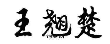 胡問遂王翹楚行書個性簽名怎么寫