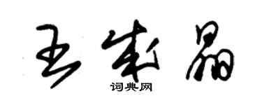 朱錫榮王成晶草書個性簽名怎么寫