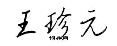 王正良王珍元行書個性簽名怎么寫