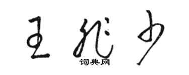 駱恆光王非少草書個性簽名怎么寫