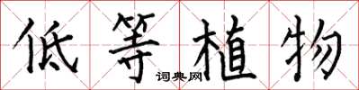 何伯昌低等植物楷書怎么寫