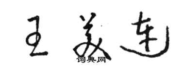 駱恆光王美連草書個性簽名怎么寫