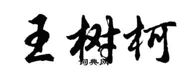 胡問遂王樹柯行書個性簽名怎么寫