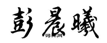 胡問遂彭晨曦行書個性簽名怎么寫