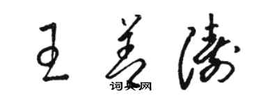 駱恆光王善濤草書個性簽名怎么寫