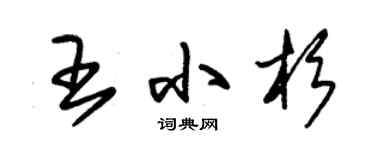 朱錫榮王小杉草書個性簽名怎么寫