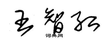 朱錫榮王智紅草書個性簽名怎么寫