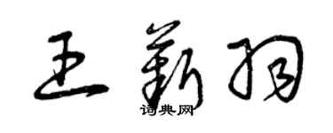 曾慶福王薪羽草書個性簽名怎么寫