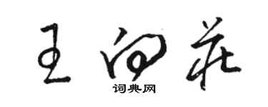 駱恆光王向莊草書個性簽名怎么寫