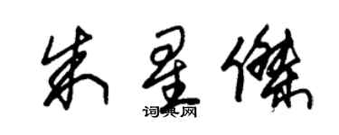 朱錫榮朱星傑草書個性簽名怎么寫