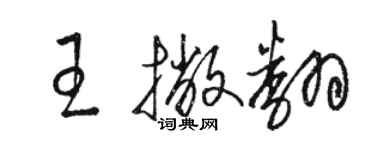 駱恆光王撇翻草書個性簽名怎么寫