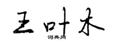 曾慶福王葉木行書個性簽名怎么寫