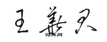 駱恆光王華君草書個性簽名怎么寫