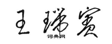 駱恆光王瑞賓草書個性簽名怎么寫