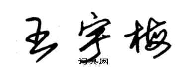 朱錫榮王宇梅草書個性簽名怎么寫