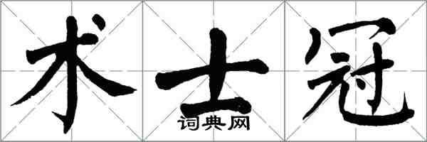 翁闓運術士冠楷書怎么寫