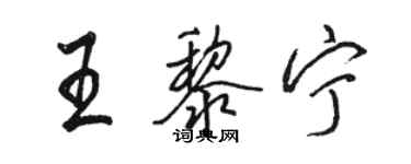駱恆光王黎寧行書個性簽名怎么寫