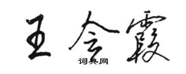 駱恆光王會霞行書個性簽名怎么寫