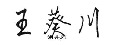 駱恆光王葵川行書個性簽名怎么寫