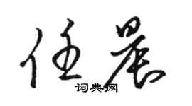 駱恆光任晨草書個性簽名怎么寫