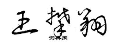 曾慶福王攀翔草書個性簽名怎么寫