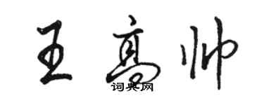 駱恆光王高帥行書個性簽名怎么寫