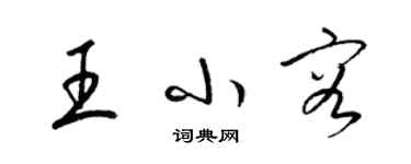 梁錦英王小容草書個性簽名怎么寫