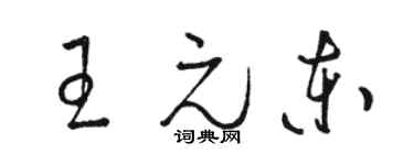 駱恆光王元東草書個性簽名怎么寫