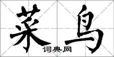 翁闓運菜鳥楷書怎么寫