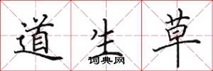 田英章道生草楷書怎么寫