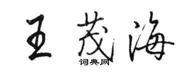 駱恆光王茂海行書個性簽名怎么寫