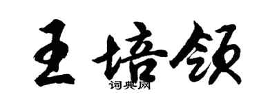胡問遂王培領行書個性簽名怎么寫