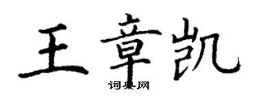 丁謙王章凱楷書個性簽名怎么寫