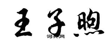 胡問遂王子煦行書個性簽名怎么寫