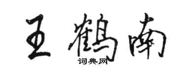 駱恆光王鶴南行書個性簽名怎么寫