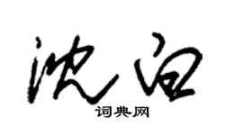 朱錫榮沈白草書個性簽名怎么寫