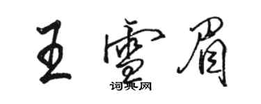 駱恆光王雪眉行書個性簽名怎么寫