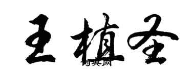 胡問遂王植聖行書個性簽名怎么寫