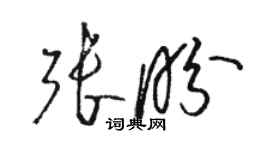 駱恆光張盼草書個性簽名怎么寫