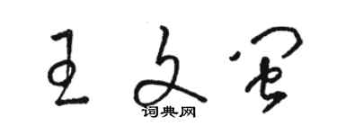 駱恆光王文閩草書個性簽名怎么寫