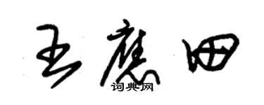 朱錫榮王應田草書個性簽名怎么寫